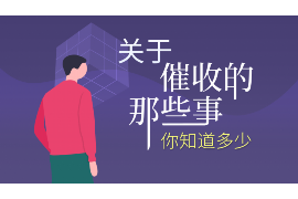 文山遇到恶意拖欠？专业追讨公司帮您解决烦恼